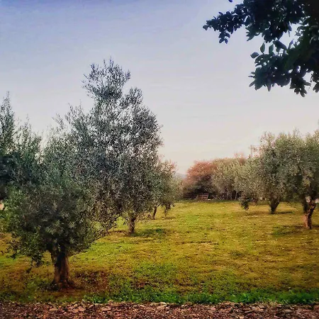 Elia Boutique Apartament *